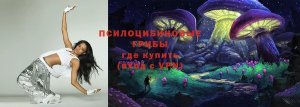 МДПВ Алексин