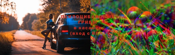 МДПВ Алексин